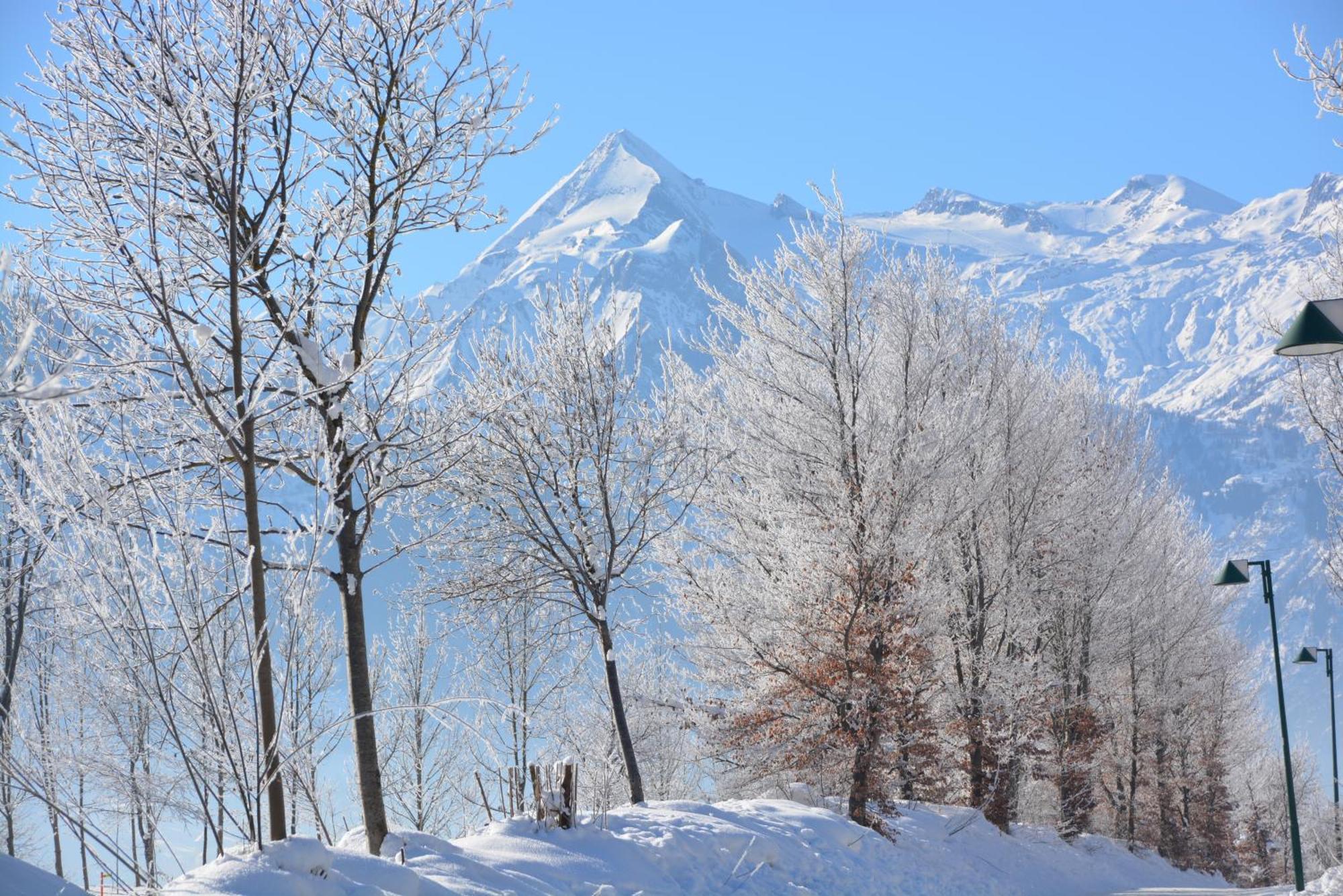 Apartment Mountain Panorama by Z-K-H Rentals Zell am See Bagian luar foto